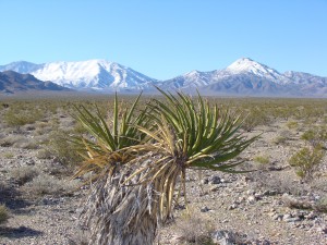 View Across the Desert