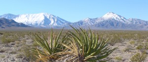 Beautiful Nevada Desert